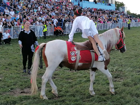 Požarevački voltižeri – atrakcija Ljubičevkih konjičkih igara (FOTO)