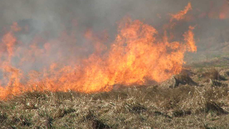 Veliki broj požara na otvorenom u Požarevcu, povređena četiri lica 