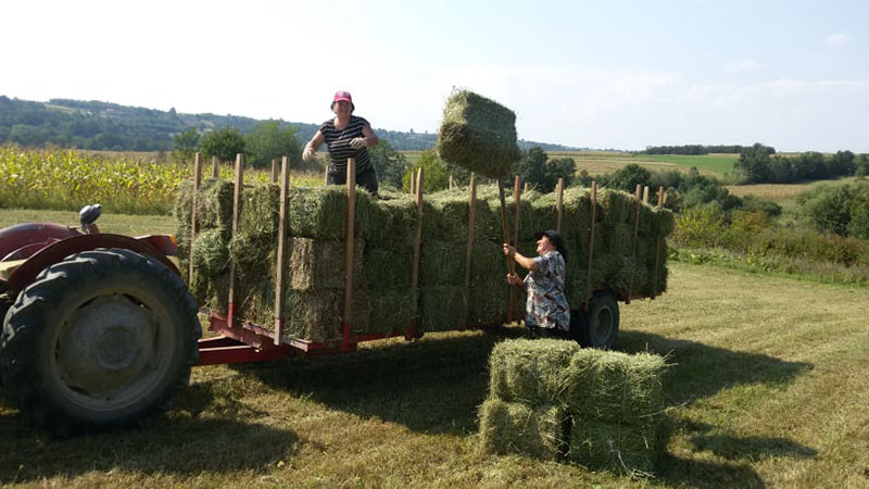 Razvoj seoskog turizma i poljoprivrede glavni aduti za smanjenje emigracija Vlaha (FOTO)