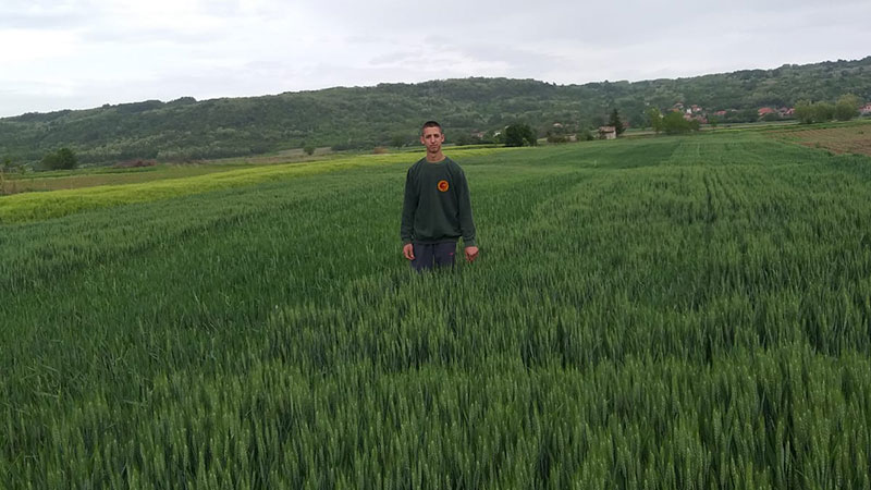 Srednjoškolac Jovan Radovanović uči i radi poljoprivredu