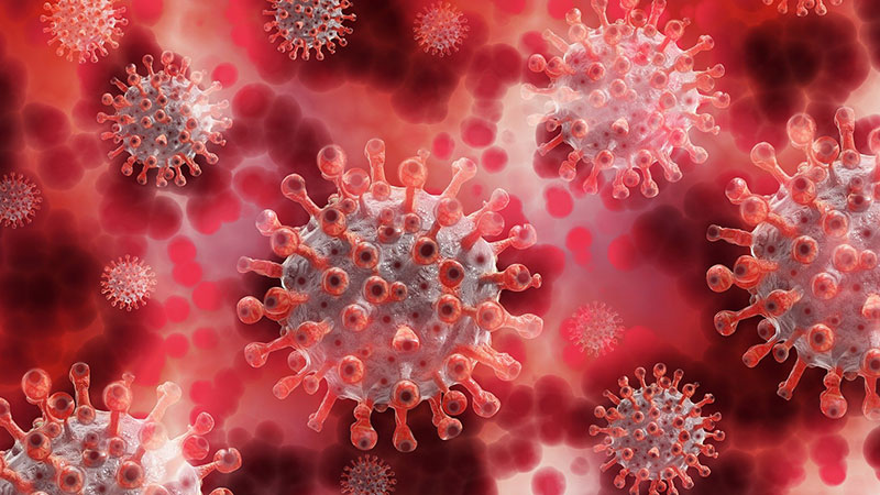 Novoobolelih 289, preminulo šest osoba od koronavirusa