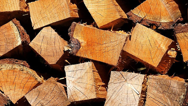 Privremeno zabranjen izvoz drvne građe i ogrevnog drveta
