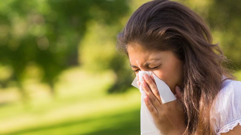 Visoka koncentracija polena ambrozije u vazduhu