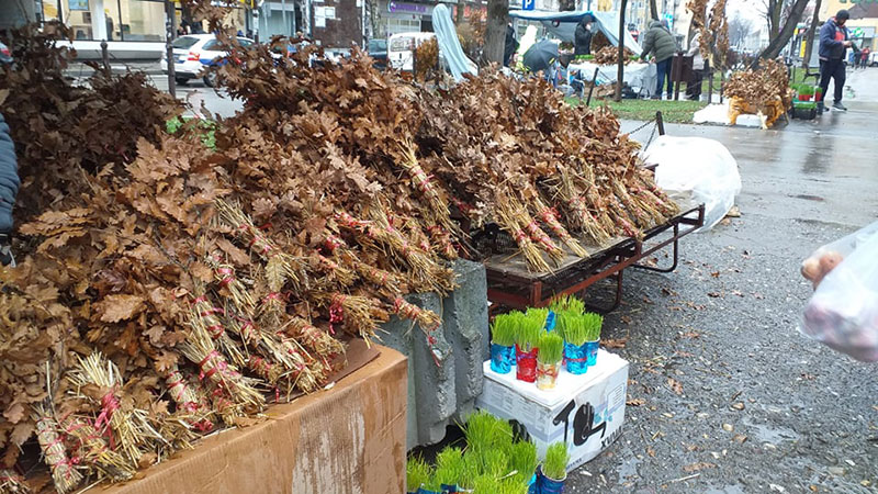 Velika ponuda badnjaka, žita i suvog voća na pijaci „Krug“ (FOTO)