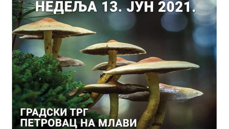 Skup gljivara iz cele Srbije u Petrovcu