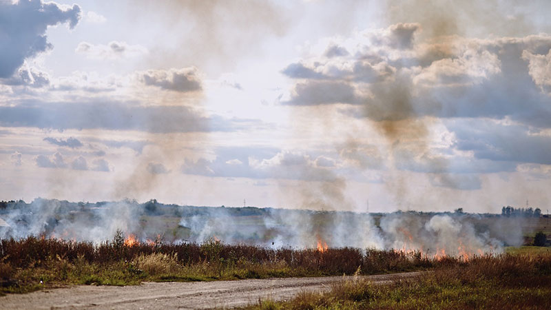 Ekološke i ekonomske posledice spaljivanja žetvenih ostataka (FOTO)