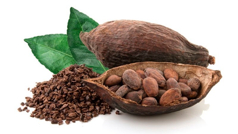 Kakao sniÅ¾ava krvni pritisak | HERBATEKA