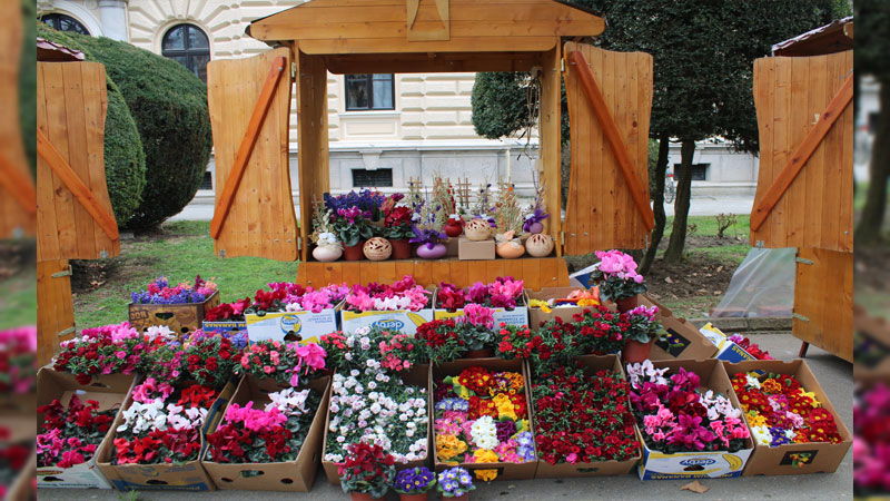 Osmomartovski bazar u znaku cveća (FOTO)