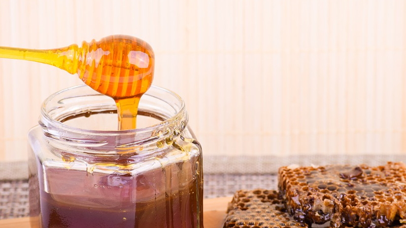 Dobra godina za bagrem, očekuje se rekordna proizvodnja meda