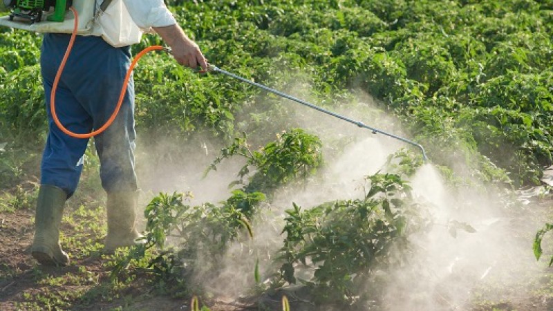 U Srbiji od danas zabranjeno 113 pesticida